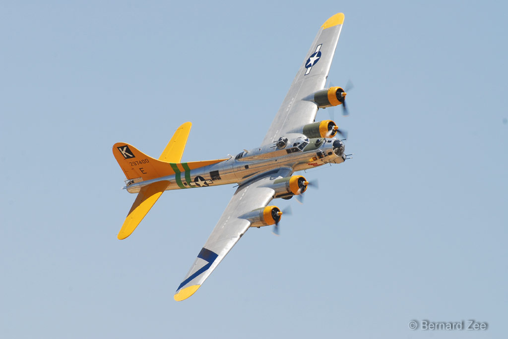 DSZ_8524